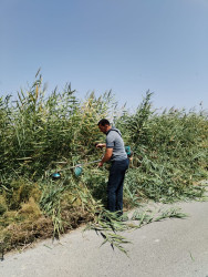 Kəndlərdə yol kənarlarının təmizlənməsi işləri davam etdirilir