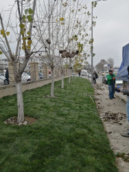 Rayonda abadlıq, təmizlik və suvarma arxlarının qazılması işləri davam etdirilir