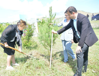 Göyçayda Ümummilli Lider Heydər Əliyevin anadan olmasının 102-ci ildönümü ilə əlaqədar “Konstitusiya və Suverenlik İli” çərçivəsində ağacəkmə aksiyası keçirilib