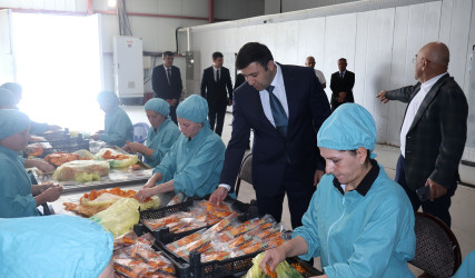Rayon İcra Hakimiyyətinin başçısı Orxan Mürsəlov “Siracoğlu” fermer təsərrüfatına məxsus soyuducu anbar  və meyvə-tərəvəz qurutma müəssisəsində olub