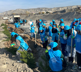 Göyçay çayının sahilində “Yaşıl dünya naminə həmrəylik ili” çərçivəsində ağacəkmə aksiyası keçirilib