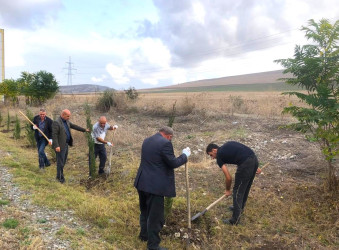 Göyçay rayonu ərazisində "Yaşıl dünya naminə həmrəylik ili" çərçivəsində ağacəkmə aksiyalarının keçirilməsi davam edir