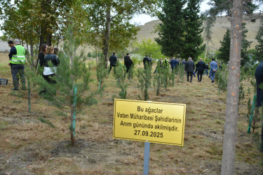 Göyçayda Anım Gününün beşinci ildönümü ilə əlaqədar ağacəkmə aksiyası keçirilib
