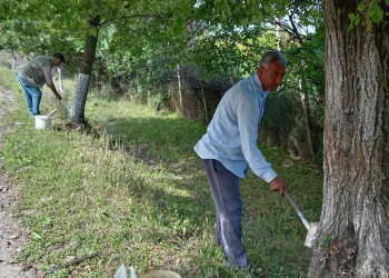 Göyçayda həftəsonları “Yaşıl dünya naminə həmrəylik ili” çərçivəsində abadlıq və təmizlik işləri davam etdirilir