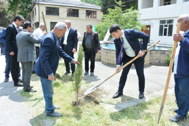 Göyçayda  “Yaşıl dünya naminə həmrəylik ili” çərçivəsində Ümummilli Lider Heydər Əliyevin anadan olmasının 101-ci ildönümü ilə əlaqədar ağacəkmə aksiyası keçirilib