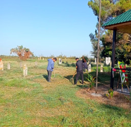 Kəndlərdə “Yaşıl dünya naminə həmrəylik ili” çərçivəsində abadlıq işləri aparılıb