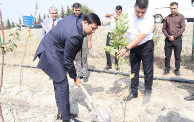 Göyçayda 27 Sentyabr – Anım Gününə həsr olunmuş genişmiqyaslı ağacəkmə aksiyası keçirilib