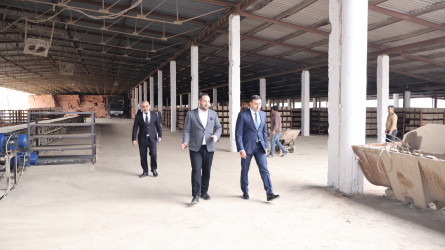 Göyçay Rayon İcra Hakimiyyətinin başçısı Orxan Mürsəlov “Kərpic-San LTD” müəssisəsində olub
