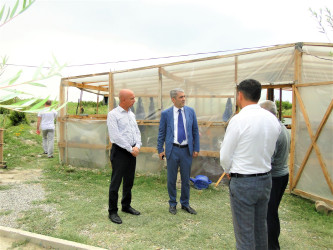 Rayon İcra Hakimiyyətinin başçısı tingçilik təsərrüfatında aparılan işlərinin gedişi ilə maraqlanıb