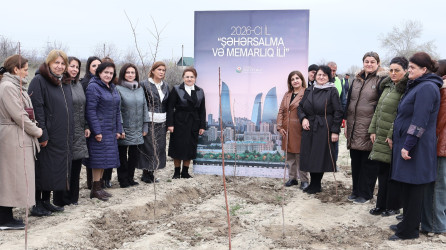 “Şəhərsalma və Memarlıq İli” çərçivəsində Göyçayda genişmiqyaslı ağacəkmə aksiyası keçirilib