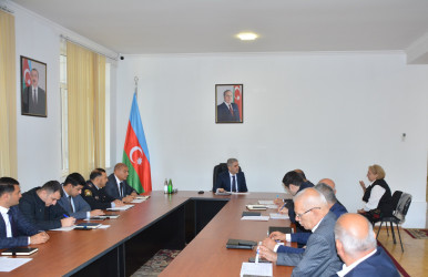 İcra Hakimiyyətinin başçısı vətəndaşlarla növbəti qəbul keçirib