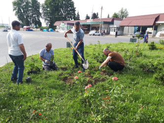 Göyçayda həftəsonları “Yaşıl dünya naminə həmrəylik ili” çərçivəsində abadlıq və təmizlik işləri davam etdirilir