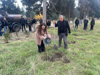 “Yaşıl dünya naminə həmrəylik ili” çərçivəsində növbəti ağacəkmə aksiyası keçirilib