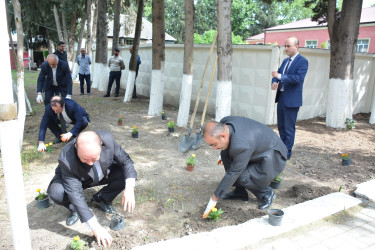 Göyçay Rayon İcra Hakimiyyətində “Yaşıl dünya naminə həmrəylik ili” çərçivəsində Ümummilli Lider Heydər Əliyevin anadan olmasının 101-ci ildönümü ilə əlaqədar güllər əkilib