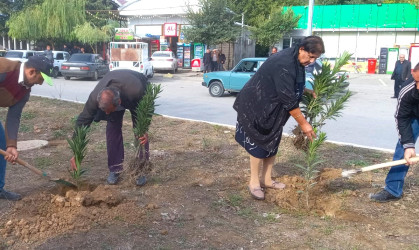 Göyçay rayonu ərazisində "Yaşıl dünya naminə həmrəylik ili" çərçivəsində ağacəkmə aksiyalarının keçirilməsi davam edir