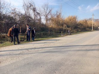 Göyçayda mövsümü ağacəkmə aksiyaları davam etdirilir