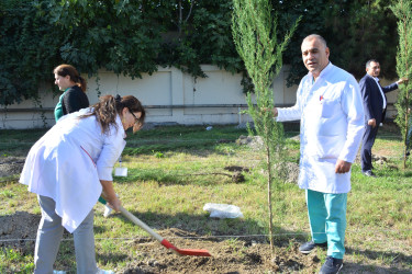 “Yaşıl dünya naminə həmrəylik ili” ilə əlaqədar Göyçay Rayon Mərkəzi Xəstəxanasında ağacəkmə aksiyası keçirilib