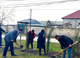 Göyçay rayonunun Qarabaqqal kəndində “Yaşıl dünya naminə həmrəylik ili” çərçivəsində ağacəkmə aksiyası keçirilib