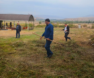 Kəndlərdə yol kənarlarının və qəbiristanlıq sahələrinin abadlaşdırılması istiqamətində işlər davam etdilir