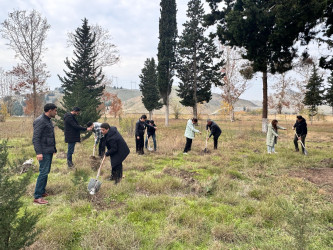 “Yaşıl dünya naminə həmrəylik ili” çərçivəsində növbəti ağacəkmə aksiyası keçirilib