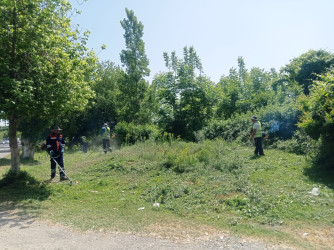 Göyçayda rayonu ərazisində həftəsonu növbəti təmizlik və abadlıq işləri aparılıb