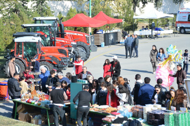 15-ci “Nar Festivalı” 12 noyabr 2023-cü il tarixdə də davam edib