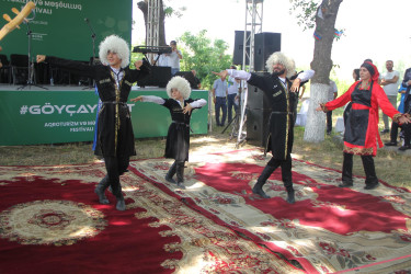 Göyçay şəhərində “Aqroturizm və Məşğulluq” festivalı keçirildi