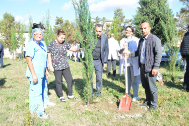 “Yaşıl dünya naminə həmrəylik ili” ilə əlaqədar Göyçay Rayon Mərkəzi Xəstəxanasında ağacəkmə aksiyası keçirilib