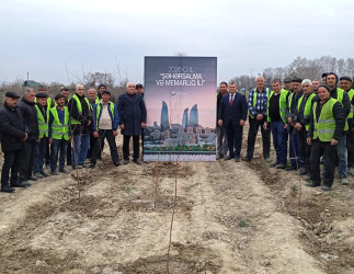 “Şəhərsalma və Memarlıq İli” çərçivəsində Göyçayda genişmiqyaslı ağacəkmə aksiyası keçirilib