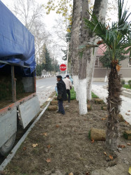 Rayonda abadlıq, təmizlik və suvarma arxlarının qazılması işləri davam etdirilir