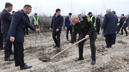 “Şəhərsalma və Memarlıq İli” çərçivəsində Göyçayda genişmiqyaslı ağacəkmə aksiyası keçirilib