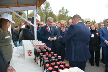 Göyçayda 15-ci “Nar Festivalı” keçirildi