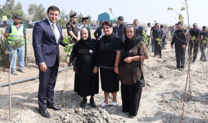 Göyçayda 27 Sentyabr – Anım Gününə həsr olunmuş genişmiqyaslı ağacəkmə aksiyası keçirilib