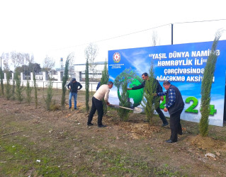 Göyçay rayonu ərazisində "Yaşıl dünya naminə həmrəylik ili" çərçivəsində ağacəkmə aksiyalarının keçirilməsi davam edir