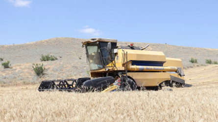 Rayon İcra Hakimiyyətinin başçısı Orxan Mürsəlov Qaraməryəm kəndində taxıl biçini prosesində iştirak edib, məhsul yığımının gedişi ilə maraqlanıb