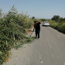 Kəndlərdə yol kənarlarının təmizlənməsi işləri davam etdirilir