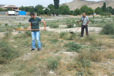 Göyçay çayının sahilində təmizlik aksiyası keçirilib