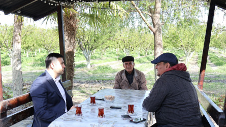 Göyçay Rayon İcra Hakimiyyətinin başçısı Orxan Mürsəlov Potu kəndində Ramil İsmayılova və Cəyirli kəndində Şakir Əliyevə məxsus bağçılıq təsərrüfatlarına baxış keçirib