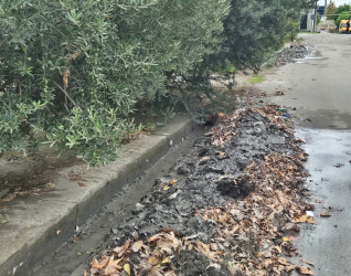 Göyçayda güclü leysan yağışların yaratdığı fəsadların aradan qaldırılması istiqamətində işlər aparılır