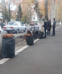 Şəhər ərazisində təmizliklə bağlı iməclik keçirildi