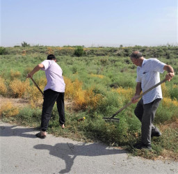 Kəndlərdə yol kənarlarının abadlaşdırılması işləri davam edir