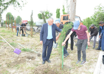 Göyçayda “Yaşıl dünya naminə həmrəylik ili” ilə əlaqədar növbəti ağacəkmə aksiyası keçirilib