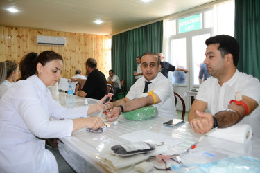 Göyçayda könüllü qanvermə aksiyası təşkil edilmişdir