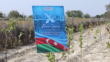 Göyçayda 27 Sentyabr – Anım Gününə həsr olunmuş genişmiqyaslı ağacəkmə aksiyası keçirilib