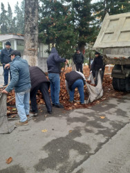 Göyçay şəhərinin ərazisində abadlaşdırma və təmizlik işləri aparılır