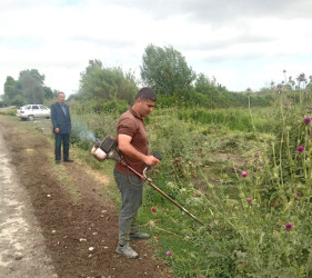 Göyçayda həftəsonu “Yaşıl dünya naminə həmrəylik ili” çərçivəsində təmizlik və abadlıq işləri aparılıb