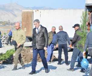 Göyçay çayının sahilində “Yaşıl dünya naminə həmrəylik ili” çərçivəsində ağacəkmə aksiyası keçirilib