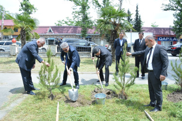 Göyçayda  “Yaşıl dünya naminə həmrəylik ili” çərçivəsində Ümummilli Lider Heydər Əliyevin anadan olmasının 101-ci ildönümü ilə əlaqədar ağacəkmə aksiyası keçirilib