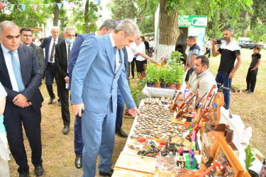 Göyçayda “Aqroturizm və Sosial sahibkarlıq” festivalı keçirilib