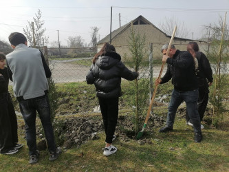 Göyçay rayonunun Qarabaqqal kəndində “Yaşıl dünya naminə həmrəylik ili” çərçivəsində ağacəkmə aksiyası keçirilib